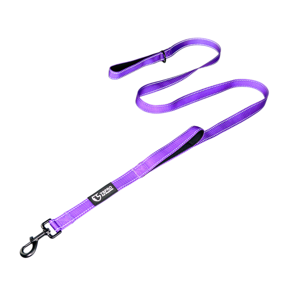 double-handed dog  leash-purple