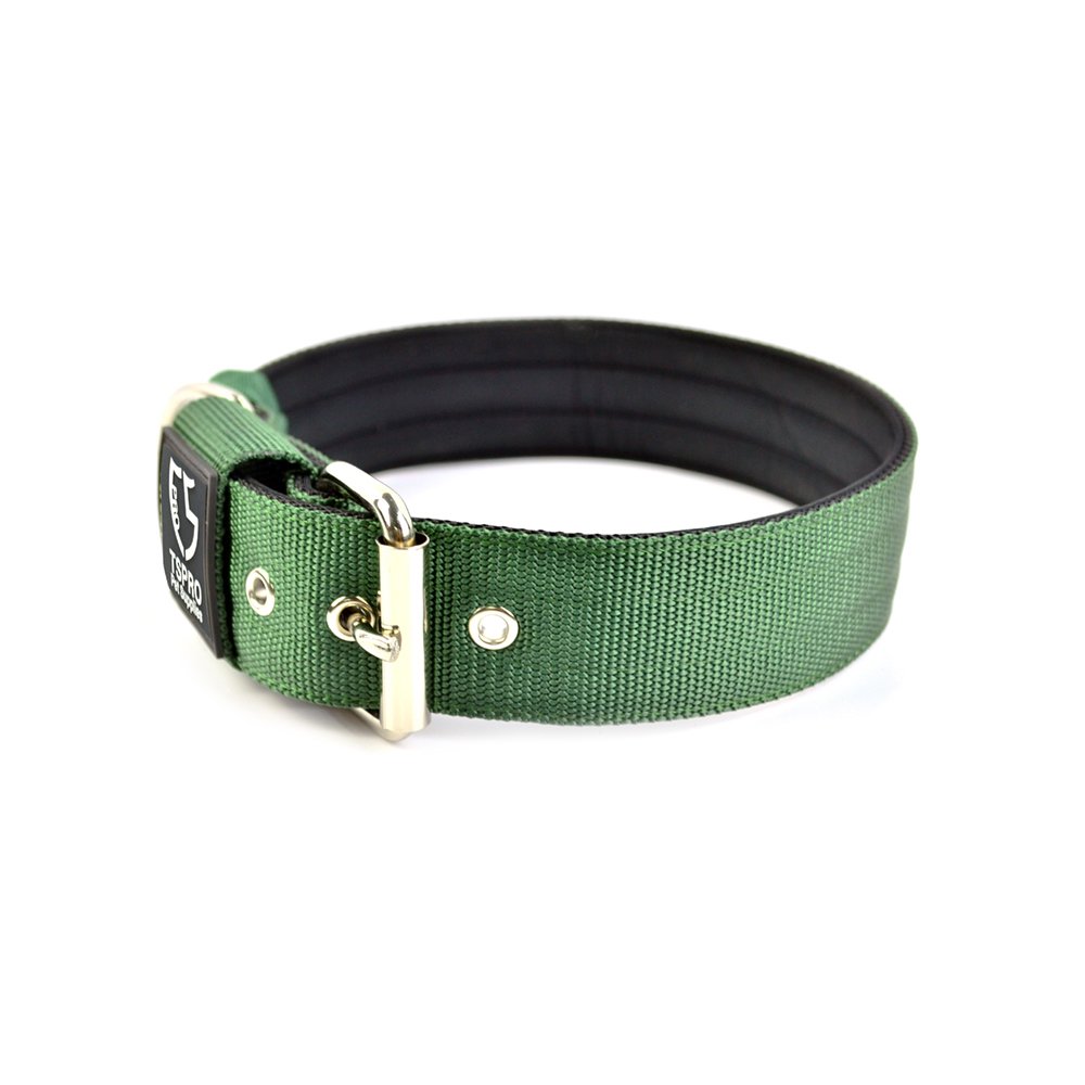Dog Collar-Green
